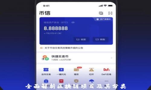 
全面解析区块链项目及其分类